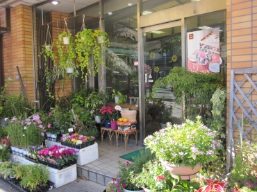 「日比野生花店」　（岐阜県大垣市）の花屋店舗写真2
